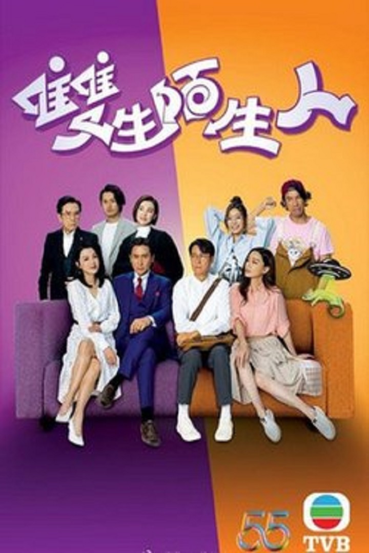 Stranger Anniversary (TVB Version) - 雙生陌生人